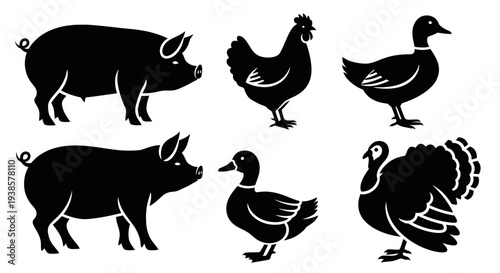 Farm Animals Silhouettes Collection - Pig, Chicken, Duck, Turkey Icons