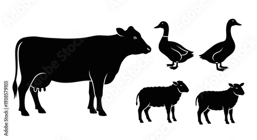 Farm Animals Silhouettes Set: Cow, Ducks, and Sheep Icons Collection