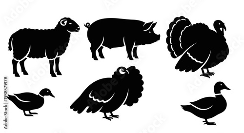 Farm Animals Silhouettes Set: Sheep, Pig, Turkey, Ducks, and Pigeon Icons