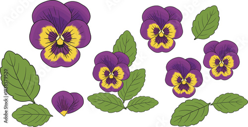 Minimal hand-drawn vector illustration set of pansy flowers and leaves with detailed petals and organic shapes in clean outline style