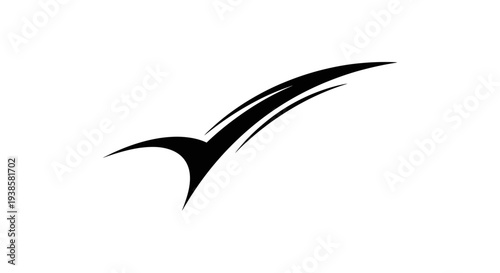 Black Bird Silhouette Flying Through Air.