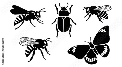 Insect Silhouettes Collection: Wasp, Bee, Beetle, and Butterfly Vector Set