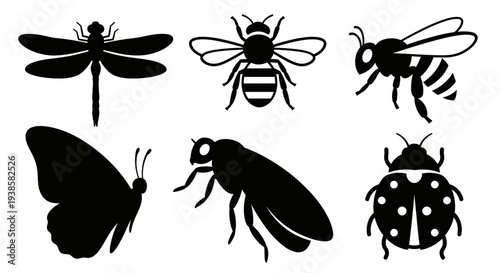 Insect Silhouettes Set: Dragonfly, Bee, Butterfly, Ladybug Icons on White Background
