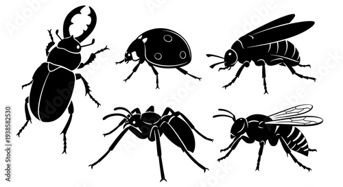 Insect silhouettes set: beetle, ladybug, ant, and wasps, isolated vector collection