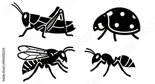Insect silhouettes set: grasshopper, ladybug, wasp, and ant icons
