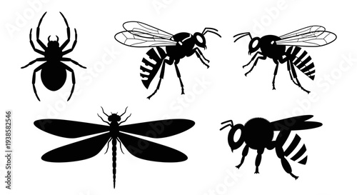 Insect Silhouettes Set: Spider, Wasps, Dragonfly, and Bee Collection