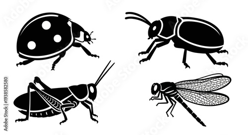 Insect Silhouettes Vector Set: Ladybug, Beetle, Grasshopper, Dragonfly Icons Collection