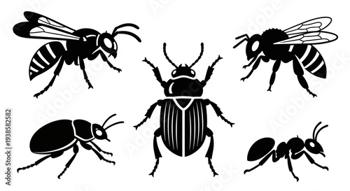 Insect Silhouettes Vector Set: Wasp, Bee, Beetle, and Ant Collection