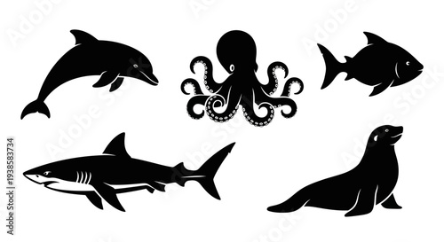 Marine Animals Silhouettes Set: Dolphin, Octopus, Shark, Fish, Sea Lion Icons