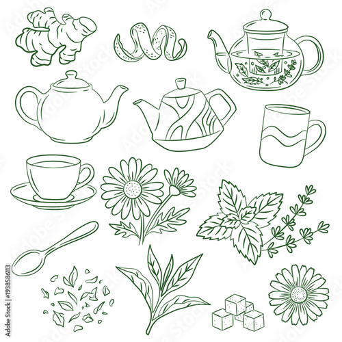 Various types of teapots, cups, tea additives in hand drawn sketch style. Cozy comfortable drink elements. Chamomile, sugar, citrus, green tea. Vector beverage illustration