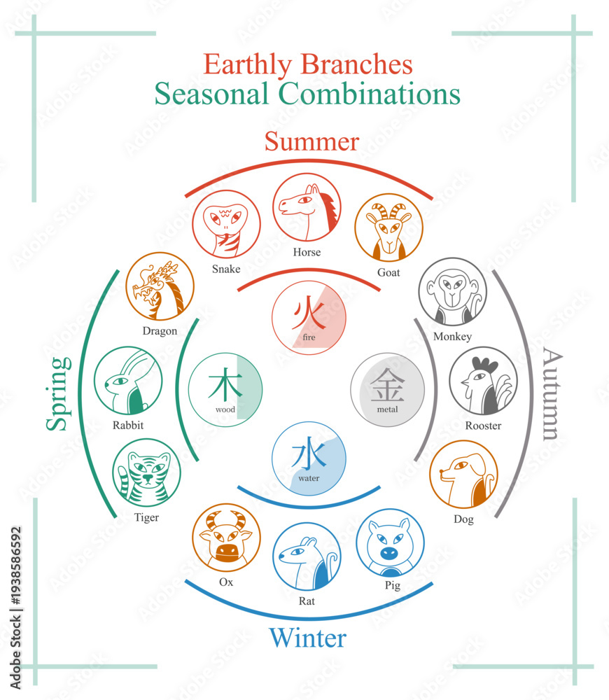 Obraz premium Earthly branches seasonal combinations, animals signs, vector illustration, feng shui, ba zi, four pillars of destiny, tcm, chinese zodiac, horoscope