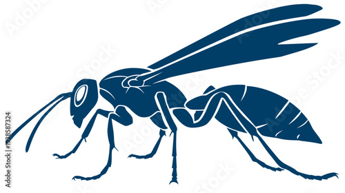 Silhouetted insect illustration, featuring a detailed view of its head, wings, body, legs, and antennae