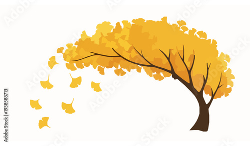 Golden ginkgo biloba autumn tree with falling fan shaped leaves botanical vector