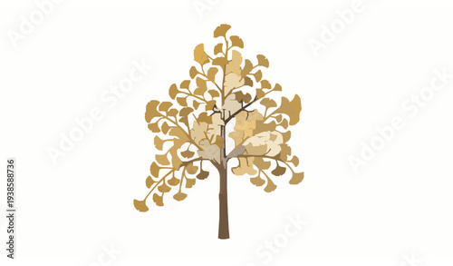Autumn ginkgo tree botanical illustration with golden leaves falling nature vector