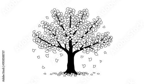 Autumn ginkgo tree with falling yellow leaves natural seasonal botanical vector illustration