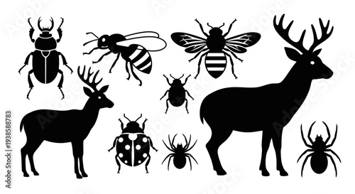 Animal and Insect Silhouettes Collection for Nature and Wildlife Design