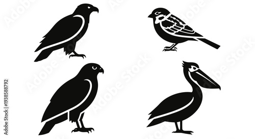 Bird silhouettes collection: eagle, sparrow, and pelican icons on white background