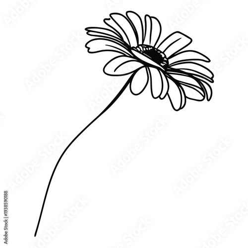 Adobe Illustrator Artwork  Poppy flowers Continuous line drawing. Minimalist modern art, hand draw one continuous line art Poppy flowers, Elegant single line art of beautiful flowers blossoming on a w