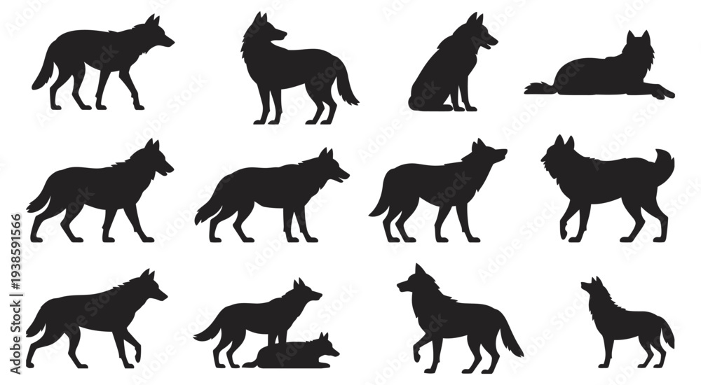 Fototapeta premium Wolf Silhouette Set, wild animal poses collection showing walking running sitting resting behaviors, black wolf shapes isolated on white background vector