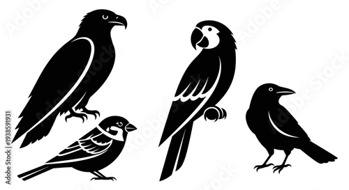 Collection of diverse bird silhouettes: eagle, sparrow, parrot, and crow icons