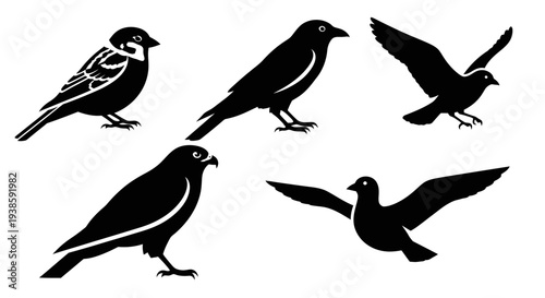 Collection of various bird silhouettes, black and white graphic icons