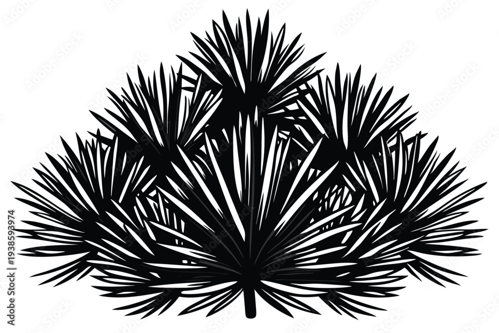 Fototapeta premium pine needle cluster silhouette line art vector illustration with a white background