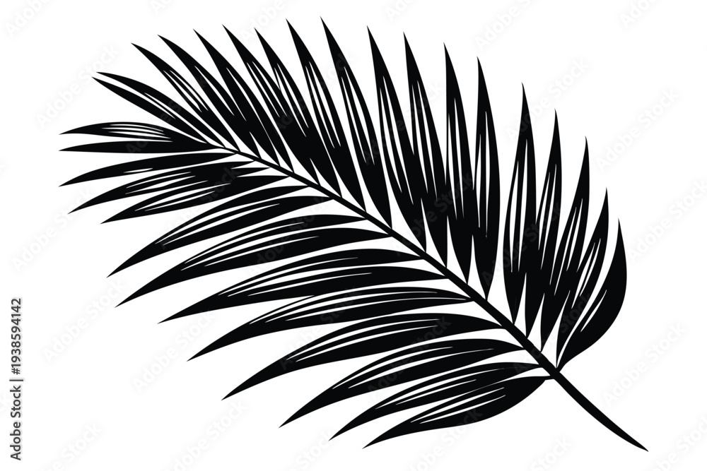 Fototapeta premium palm leaf silhouette line art vector illustration with a white background