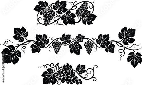 Grapevine silhouette illustration, decorative vine artwork, grape cluster design, curling tendrils drawing, vineyard leaf motif, wine themed decoration,