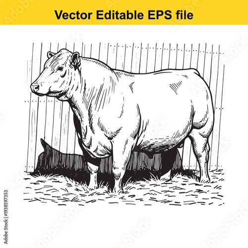 Cow Standing Near Fence Sketch Illustration - Vector Graphic