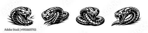 Set of four black and white cobra snake illustrations in aggressive poses
