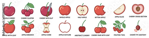 colorful apple and cherry fruit vector icon set, whole slice half core branch and cluster illustrations isolated on transparent background