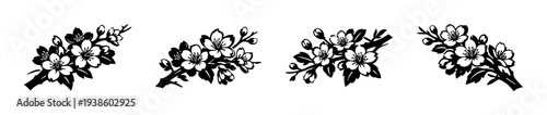 Black and white floral silhouette of cherry blossom branches vector illustration