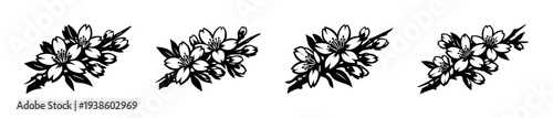 Black and white floral silhouette set of cherry blossom branches illustration