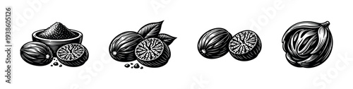Black and white vector illustration of nutmeg spice with leaves and halved fruit
