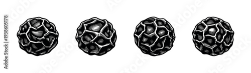 Monochrome vector illustration of four pine cones in black and white silhouette style