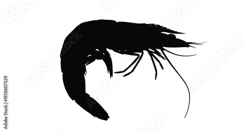 A striking silhouette of a shrimp against a plain white background