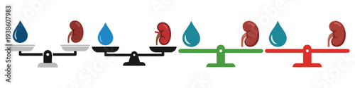 WATER BALANCE - Scale balancing a water drop and a kidney  Flat Vector Illustration on Transparent Background