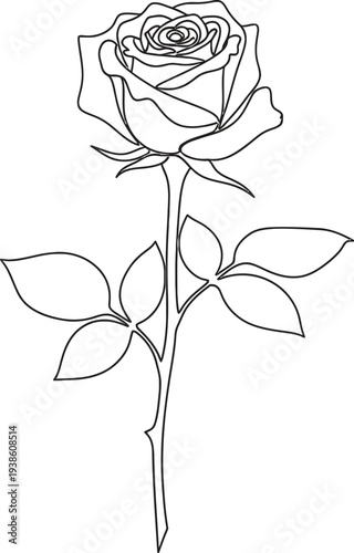 A delicate single line drawing depicts a rose with leaves and a long slender stem