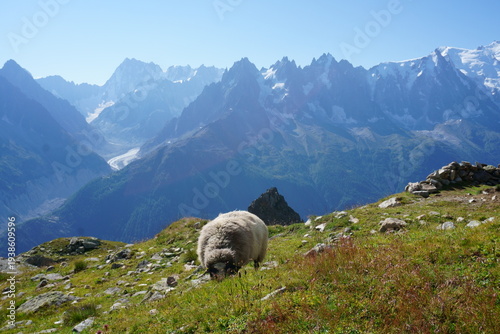 Alpine landscape. Swiss Alps