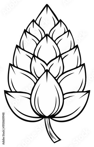 Stylized Hop Cone Illustration Botanical Drawing Line Art Fresh Hop Plant Ingredient for Beer Brewing