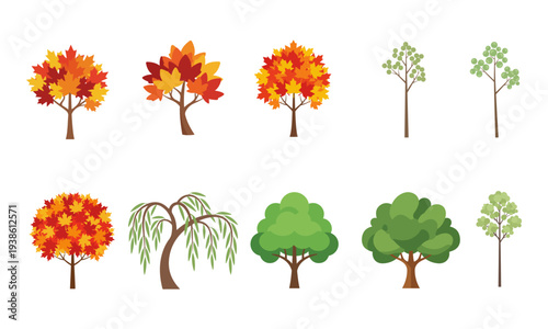 Seasonal Tree Collection Flat Vector Illustration Set