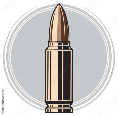 Ammunition Illustration in a Framed Graphic Design Element, Military Ballistics, Weapon Technology