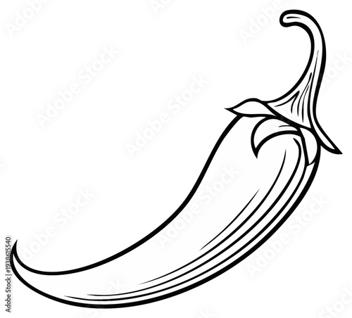 Illustration of a chili pepper, line art drawing of spice ingredient, cooking and food themes