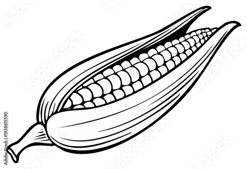 Ear of Corn Line Art: Simple Harvest Symbol, Natural Kernel Food, Farming Crop Icon