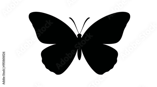 A symmetrical black silhouette of a butterfly against a white background. Details include wings and antennae