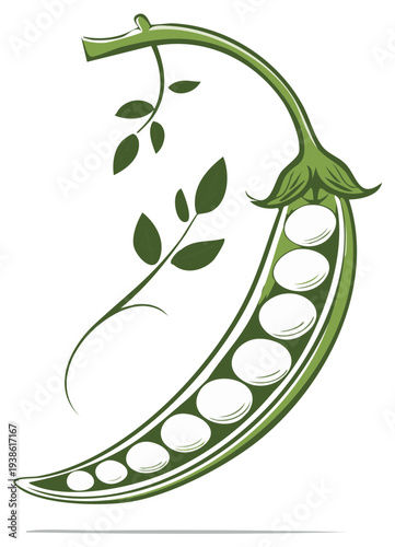Green Pea Pod Graphic Isolated Vegetarian Food Design Element Vegetable