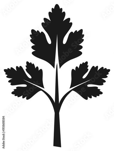 Elegant Cilantro Leaf Silhouette Aromatic Herb Vector Illustration Ingredient for Cuisine Isolated on White