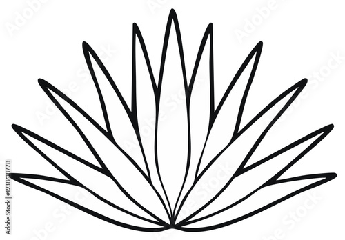 Stylized line art illustration of a blossoming agave plant radiating outward