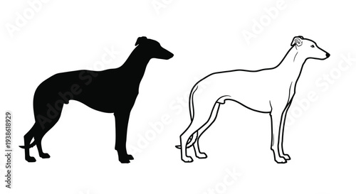 Two whippet dogs one in black and one in white line art silhouette