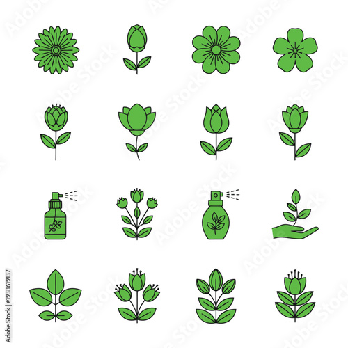 Collection of green botanical illustrations featuring flowers and plants in various stages